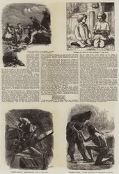 Literary Illustrations